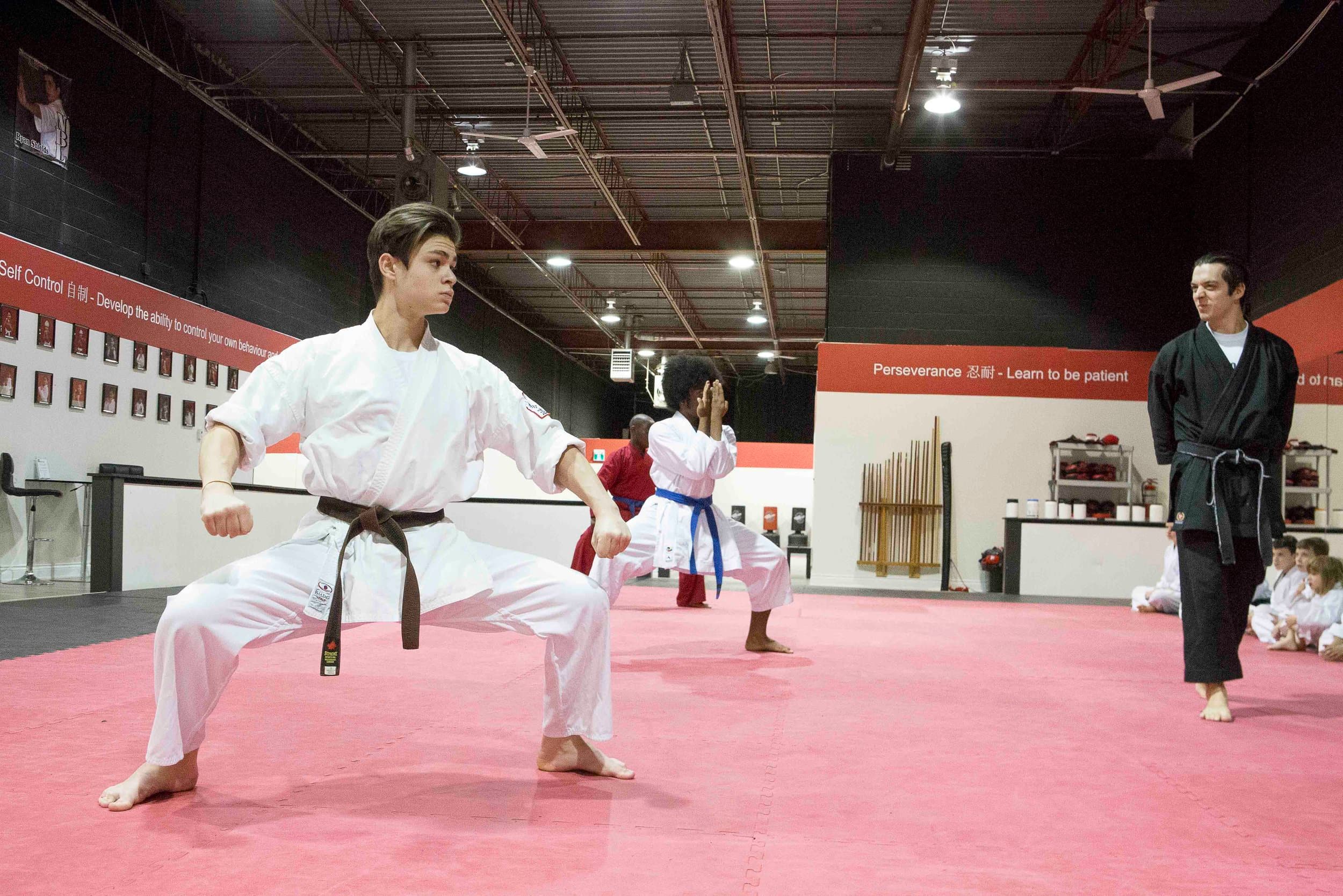 Adult Karate